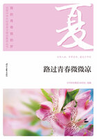 “我的青春我的梦”全国中学生校园美文精品集萃丛书:路过青春微微凉在线阅读