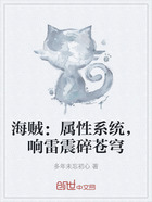 海贼:属性系统,响雷震碎苍穹在线阅读