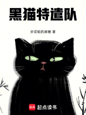 黑猫特遣队在线阅读