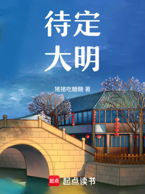 待定大明在线阅读