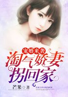 寵婚來襲：淘氣嬌妻拐回家在線閱讀