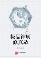 極品神廚修真錄在線閱讀