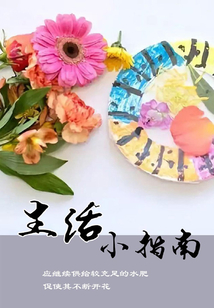 生活小指南