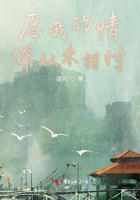 愿我的情深從未錯付在線閱讀