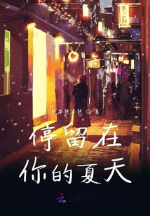 停留在你的夏天