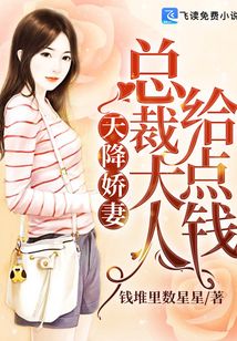 天降嬌妻:總裁大人給點(diǎn)錢