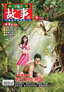 今古傳奇·故事版（2017年8月上）