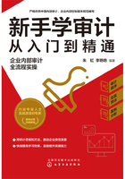 新手学审计从入门到精通：企业内部审计全流程实操在线阅读