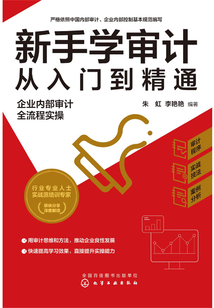 新手學(xué)審計從入門到精通:企業(yè)內(nèi)部審計全流程實操