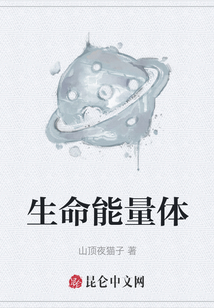 生命能量體