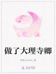 做了大理寺卿