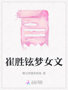 崔胜铉梦女文在线阅读