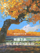 被骗下乡，用法术建设新农村在线阅读