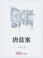 唐盐案在线阅读