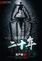 我的考古二十年在線閱讀