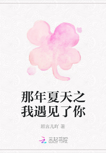 那年夏天之我遇見了你
