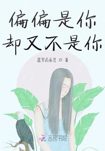 偏偏是你卻又不是你