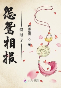 怨鴛相報何時了