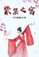 紫禁之宮在線閱讀