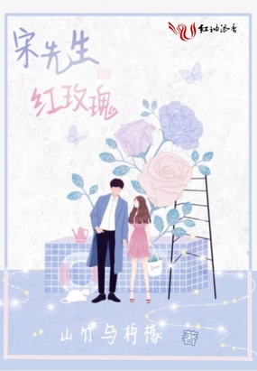 宋先生的红玫瑰在线阅读