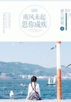 南风未起，思你成疾在线阅读