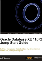 Oracle Database XE 11gR2 Jump Start Guide在線閱讀