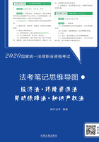 2020国家统一法律职业资格考试·法考笔记思维导图：经济法·环境资源法·劳动保障法·知识产权法