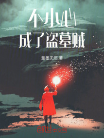 不小心成了盗墓贼