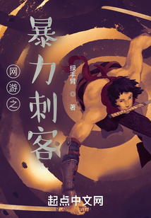 網游之暴力刺客