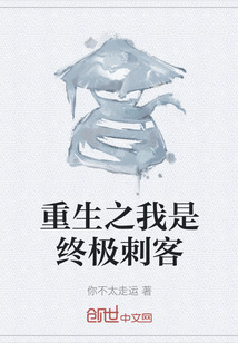 重生之我是終極刺客