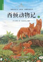 西顿动物记2（少年简读版）