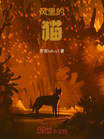 風里的貓