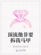 顶流他非要拆我马甲在线阅读