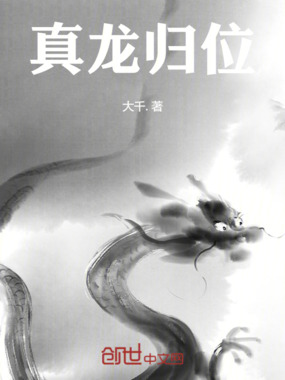 真龙归位在线阅读