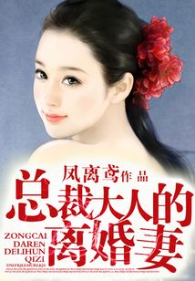 总裁大人的离婚妻