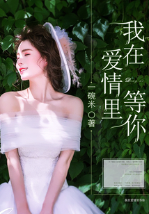 我在爱情里等你