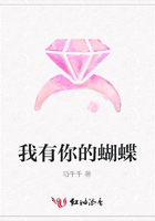 我有你的蝴蝶在線閱讀