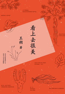 看上去很美（2015精装版）