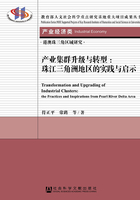 产业集群升级与转型：珠江三角洲地区的实践与启示在线阅读