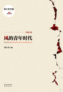 风的青年时代(郭小东文集)