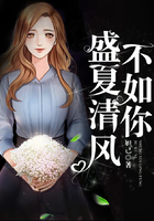 盛夏清风不如你在线阅读