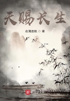 天赐长生在线阅读