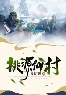 桃源仙村 封面