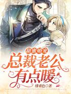 甜蜜婚宠:总裁老公有点暖