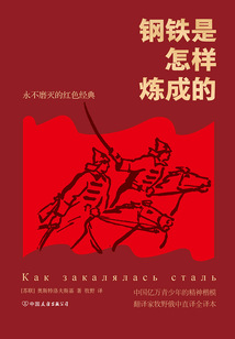 鋼鐵是怎樣煉成的（2023版）