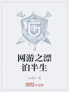 网游之漂泊半生在线阅读