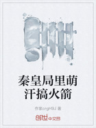 秦皇局里萌汗搞火箭在线阅读
