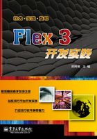 Flex 3开发实践