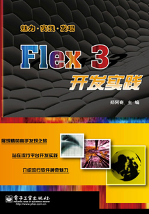 Flex 3開發實踐