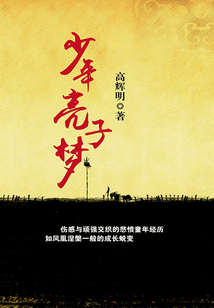 少年亮子梦